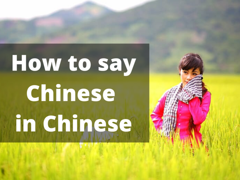 How to say Chinese in Chinese